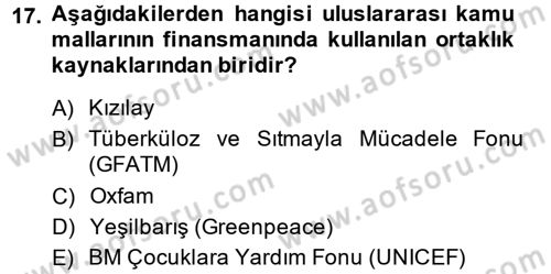 Uluslararası Kamu Maliyesi Dersi 2013 - 2014 Yılı (Vize) Ara Sınav Soruları 17. Soru