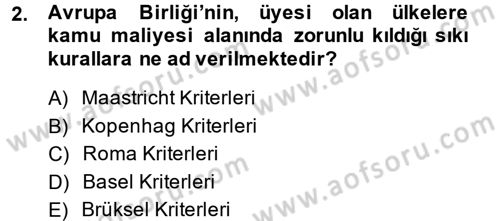 Uluslararası Kamu Maliyesi Dersi 2013 - 2014 Yılı (Vize) Ara Sınav Soruları 2. Soru