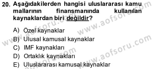 Uluslararası Kamu Maliyesi Dersi 2013 - 2014 Yılı (Vize) Ara Sınav Soruları 20. Soru