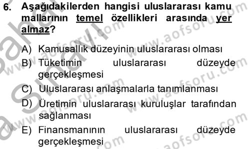 Uluslararası Kamu Maliyesi Dersi 2013 - 2014 Yılı (Vize) Ara Sınav Soruları 6. Soru