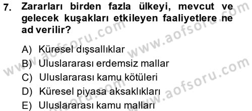Uluslararası Kamu Maliyesi Dersi 2013 - 2014 Yılı (Vize) Ara Sınav Soruları 7. Soru