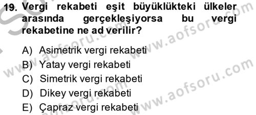 Uluslararası Kamu Maliyesi Dersi 2013 - 2014 Yılı (Final) Dönem Sonu Sınav Soruları 19. Soru
