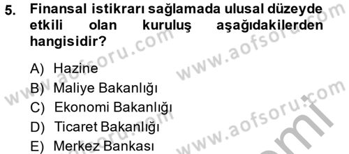Uluslararası Kamu Maliyesi Dersi 2013 - 2014 Yılı (Final) Dönem Sonu Sınav Soruları 5. Soru