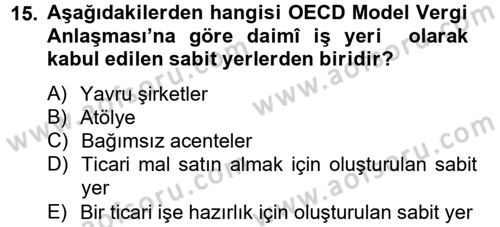Uluslararası Kamu Maliyesi Dersi 2013 - 2014 Yılı Tek Ders Sınav Soruları 15. Soru