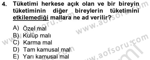 Uluslararası Kamu Maliyesi Dersi 2013 - 2014 Yılı Tek Ders Sınav Soruları 4. Soru