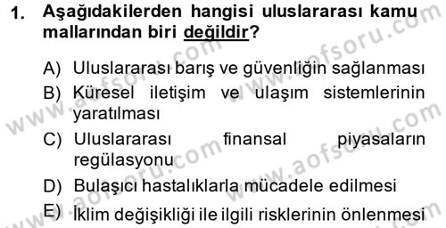 Uluslararası Kamu Maliyesi Dersi 2014 - 2015 Yılı (Vize) Ara Sınav Soruları 1. Soru
