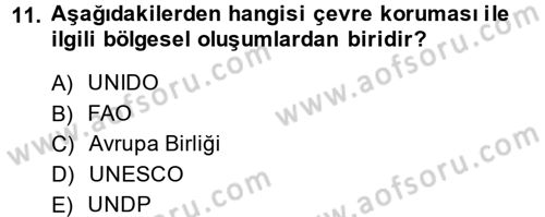 Uluslararası Kamu Maliyesi Dersi 2014 - 2015 Yılı (Vize) Ara Sınav Soruları 11. Soru