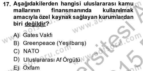 Uluslararası Kamu Maliyesi Dersi 2014 - 2015 Yılı (Vize) Ara Sınav Soruları 17. Soru