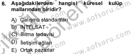Uluslararası Kamu Maliyesi Dersi 2014 - 2015 Yılı (Vize) Ara Sınav Soruları 6. Soru