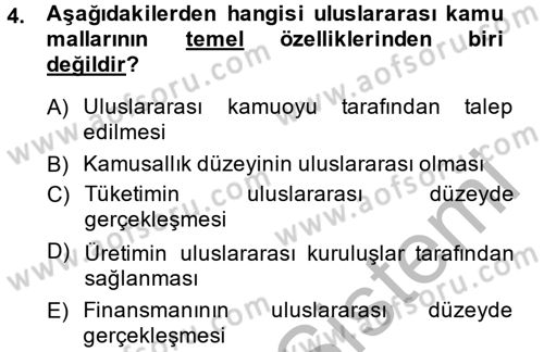 Uluslararası Kamu Maliyesi Dersi 2014 - 2015 Yılı (Final) Dönem Sonu Sınav Soruları 4. Soru