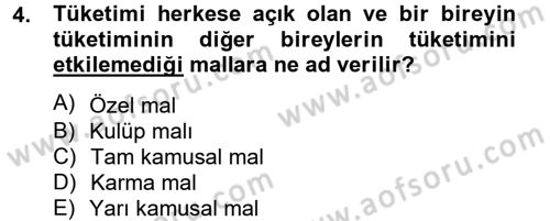 Uluslararası Kamu Maliyesi Dersi 2014 - 2015 Yılı Tek Ders Sınav Soruları 4. Soru