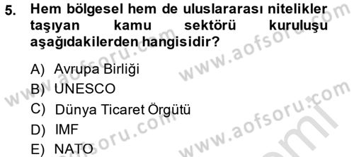 Uluslararası Kamu Maliyesi Dersi 2014 - 2015 Yılı Tek Ders Sınav Soruları 5. Soru