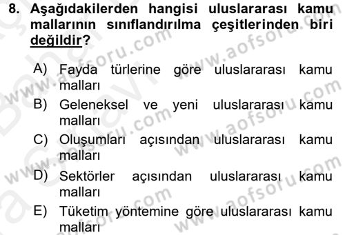 Uluslararası Kamu Maliyesi Dersi 2015 - 2016 Yılı (Vize) Ara Sınavı 8. Soru