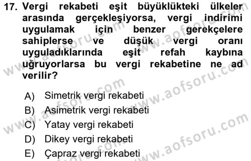 Uluslararası Kamu Maliyesi Dersi 2016 - 2017 Yılı 3 Ders Sınavı 17. Soru