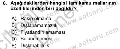 Uluslararası Kamu Maliyesi Dersi 2016 - 2017 Yılı (Vize) Ara Sınav Soruları 6. Soru