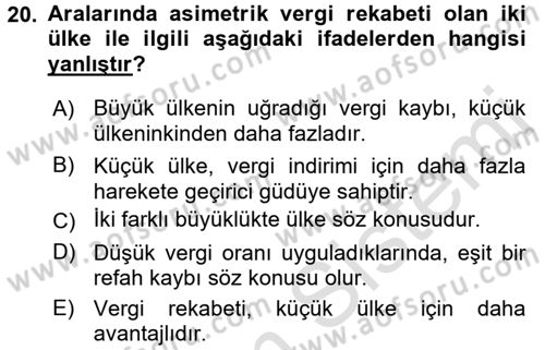 Uluslararası Kamu Maliyesi Dersi 2016 - 2017 Yılı (Final) Dönem Sonu Sınav Soruları 20. Soru