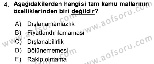 Uluslararası Kamu Maliyesi Dersi 2017 - 2018 Yılı 3 Ders Sınav Soruları 4. Soru