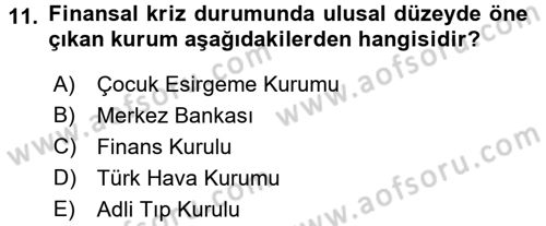 Uluslararası Kamu Maliyesi Dersi 2017 - 2018 Yılı (Vize) Ara Sınavı 11. Soru