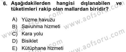 Uluslararası Kamu Maliyesi Dersi 2017 - 2018 Yılı (Vize) Ara Sınavı 6. Soru