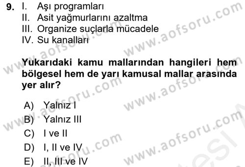 Uluslararası Kamu Maliyesi Dersi 2017 - 2018 Yılı (Vize) Ara Sınavı 9. Soru