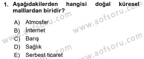 Uluslararası Kamu Maliyesi Dersi 2018 - 2019 Yılı 3 Ders Sınav Soruları 1. Soru