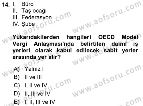 Uluslararası Kamu Maliyesi Dersi 2018 - 2019 Yılı 3 Ders Sınav Soruları 14. Soru