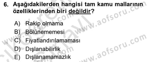 Uluslararası Kamu Maliyesi Dersi 2018 - 2019 Yılı 3 Ders Sınav Soruları 6. Soru