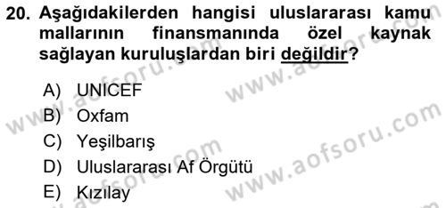 Uluslararası Kamu Maliyesi Dersi 2018 - 2019 Yılı (Vize) Ara Sınav Soruları 20. Soru
