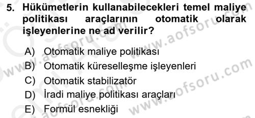 Uluslararası Kamu Maliyesi Dersi 2018 - 2019 Yılı (Vize) Ara Sınav Soruları 5. Soru