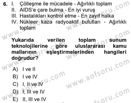 Uluslararası Kamu Maliyesi Dersi 2018 - 2019 Yılı (Vize) Ara Sınav Soruları 6. Soru