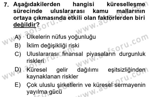 Uluslararası Kamu Maliyesi Dersi 2018 - 2019 Yılı (Vize) Ara Sınav Soruları 7. Soru