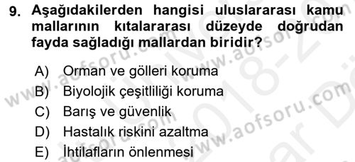 Uluslararası Kamu Maliyesi Dersi 2018 - 2019 Yılı (Vize) Ara Sınav Soruları 9. Soru
