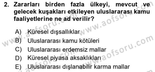 Uluslararası Kamu Maliyesi Dersi 2018 - 2019 Yılı (Final) Dönem Sonu Sınav Soruları 2. Soru