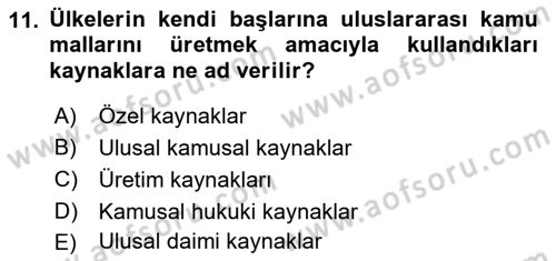 Uluslararası Kamu Maliyesi Dersi 2018 - 2019 Yılı Yaz Okulu Sınav Soruları 11. Soru