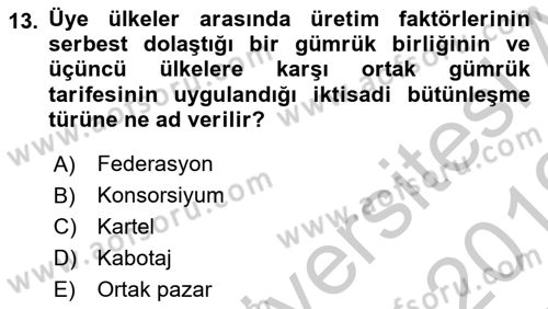 Uluslararası Kamu Maliyesi Dersi 2018 - 2019 Yılı Yaz Okulu Sınav Soruları 13. Soru