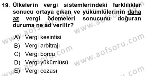 Uluslararası Kamu Maliyesi Dersi 2018 - 2019 Yılı Yaz Okulu Sınav Soruları 19. Soru