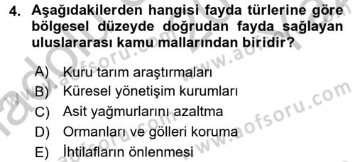 Uluslararası Kamu Maliyesi Dersi 2018 - 2019 Yılı Yaz Okulu Sınav Soruları 4. Soru