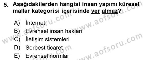 Uluslararası Kamu Maliyesi Dersi 2018 - 2019 Yılı Yaz Okulu Sınav Soruları 5. Soru