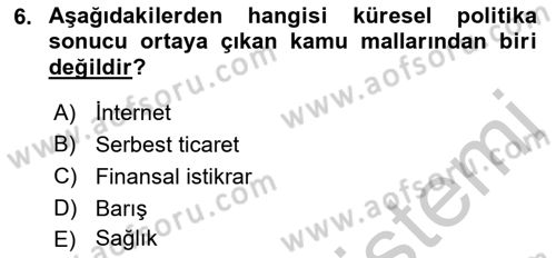 Uluslararası Kamu Maliyesi Dersi 2018 - 2019 Yılı Yaz Okulu Sınav Soruları 6. Soru