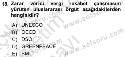 Uluslararası Kamu Maliyesi Dersi 2020 - 2021 Yılı Yaz Okulu Sınav Soruları 18. Soru