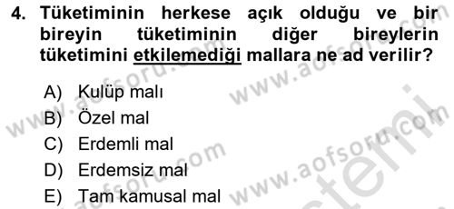 Uluslararası Kamu Maliyesi Dersi 2020 - 2021 Yılı Yaz Okulu Sınav Soruları 4. Soru