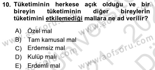 Uluslararası Kamu Maliyesi Dersi 2021 - 2022 Yılı (Vize) Ara Sınav Soruları 10. Soru
