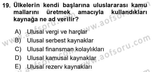 Uluslararası Kamu Maliyesi Dersi 2021 - 2022 Yılı (Vize) Ara Sınav Soruları 19. Soru
