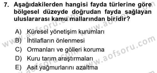 Uluslararası Kamu Maliyesi Dersi 2021 - 2022 Yılı (Vize) Ara Sınav Soruları 7. Soru