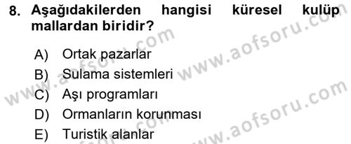 Uluslararası Kamu Maliyesi Dersi 2021 - 2022 Yılı (Vize) Ara Sınav Soruları 8. Soru
