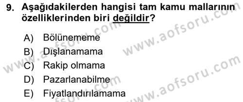 Uluslararası Kamu Maliyesi Dersi 2021 - 2022 Yılı (Vize) Ara Sınav Soruları 9. Soru