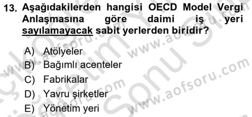 Uluslararası Kamu Maliyesi Dersi 2021 - 2022 Yılı (Final) Dönem Sonu Sınav Soruları 13. Soru