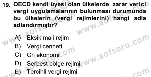 Uluslararası Kamu Maliyesi Dersi 2021 - 2022 Yılı (Final) Dönem Sonu Sınav Soruları 19. Soru