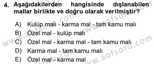 Uluslararası Kamu Maliyesi Dersi 2021 - 2022 Yılı (Final) Dönem Sonu Sınav Soruları 4. Soru