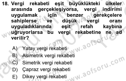 Uluslararası Kamu Maliyesi Dersi 2021 - 2022 Yılı Yaz Okulu Sınav Soruları 18. Soru